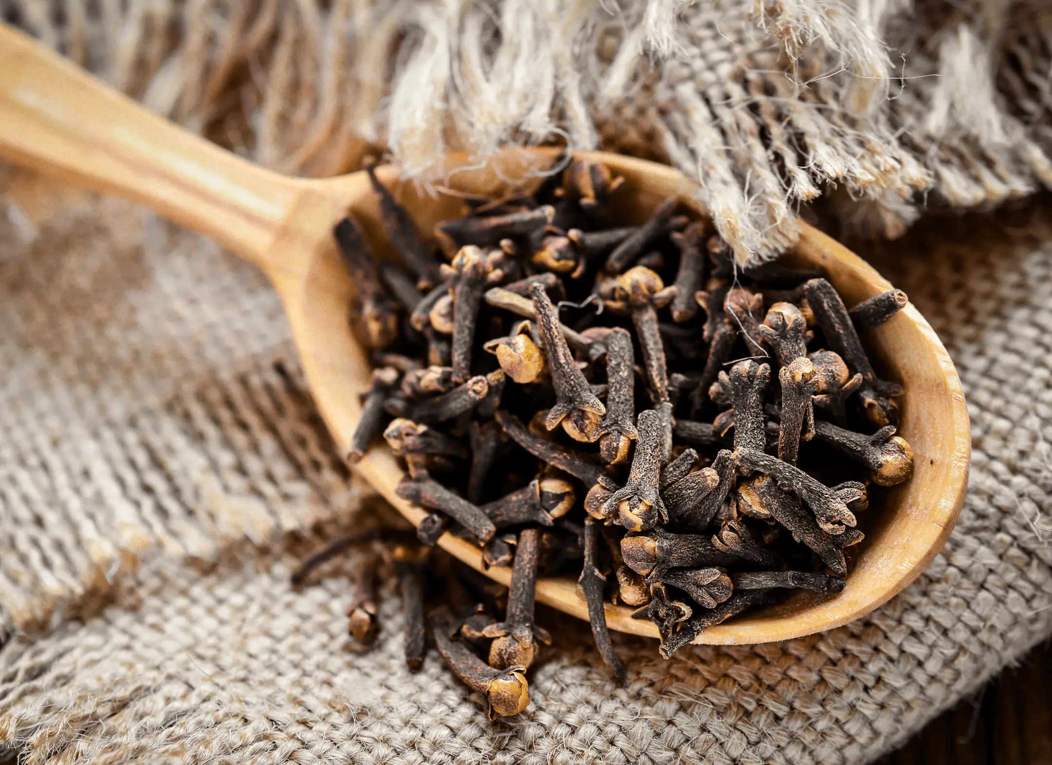 Clove Bud Oil